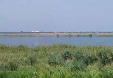 Porto Viro